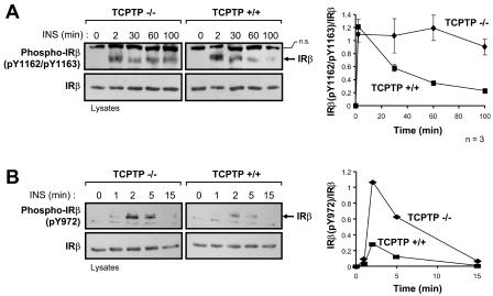 FIG. 8.