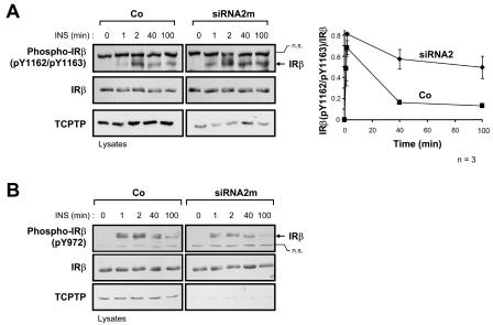 FIG. 9.