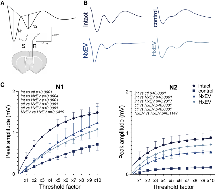 Figure 6