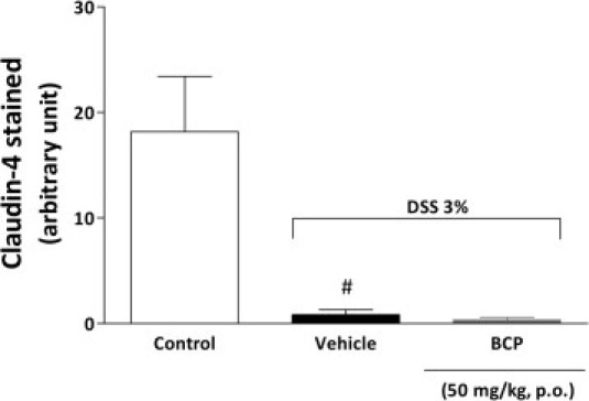 Supplemental Figure S6