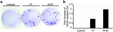 FIG. 5.