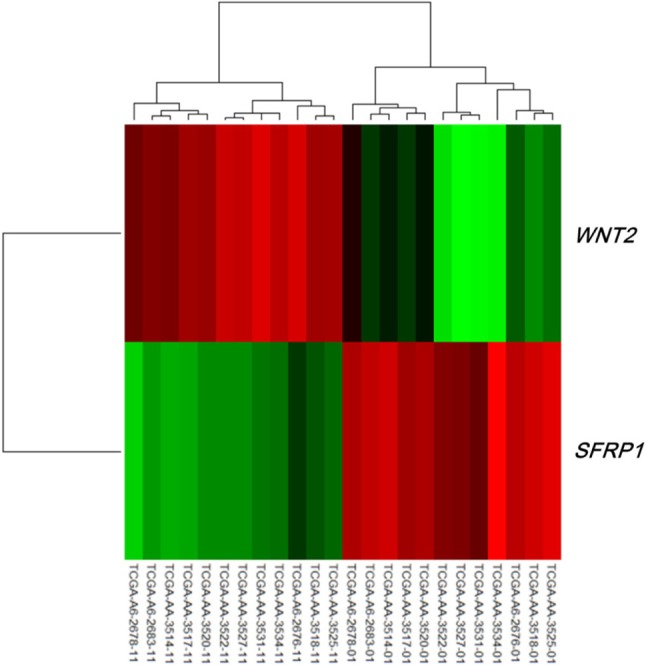 Fig. 4