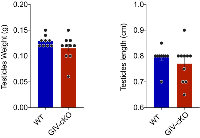 Figure 5—figure supplement 1.