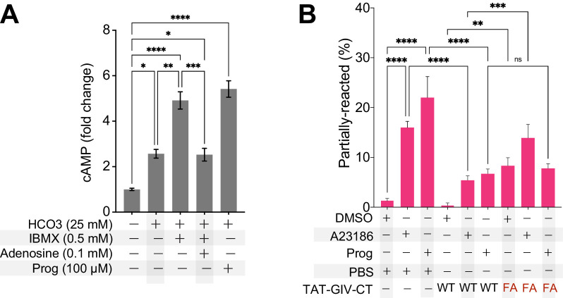 Figure 7—figure supplement 1.