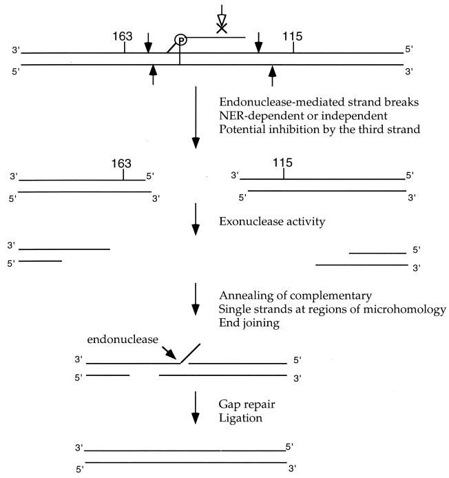 FIG. 7