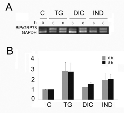 Fig. (1)