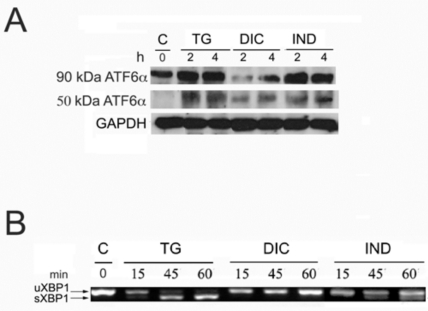 Fig. (2)