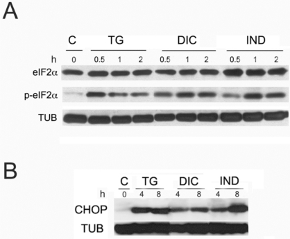 Fig. (4)