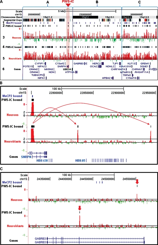 Figure 1.