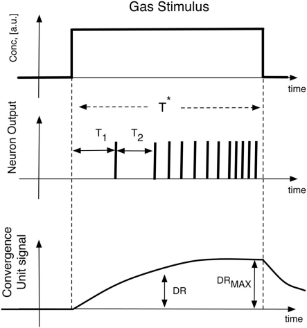 Figure 8