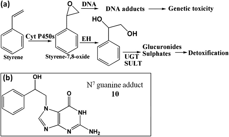 Scheme 6