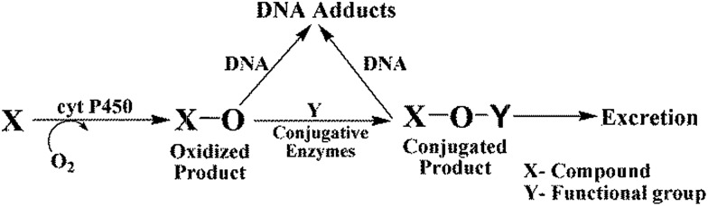 Scheme 3