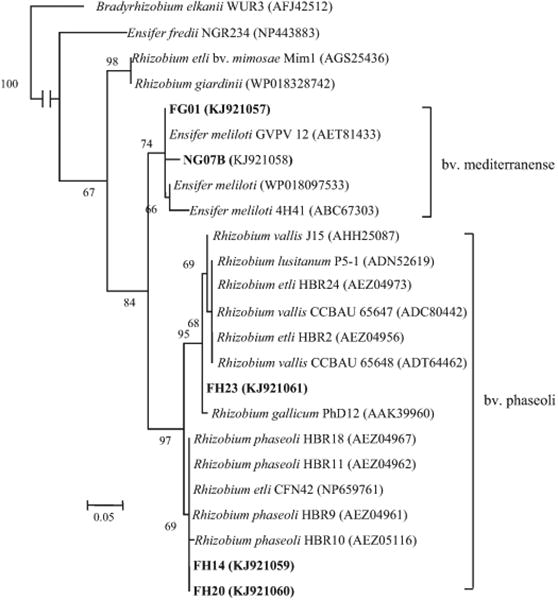 Fig. 2