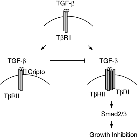 FIG. 7.