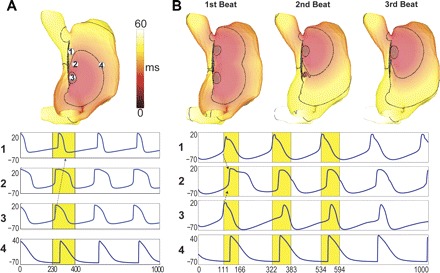 Fig. 4.