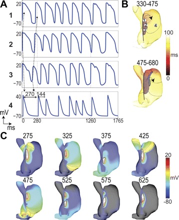 Fig. 6.