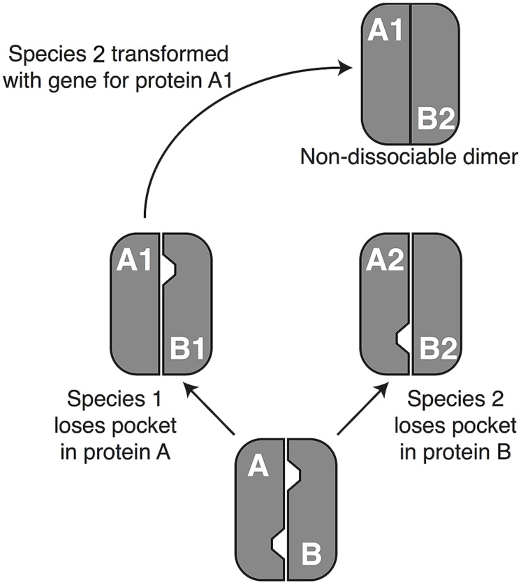 FIGURE 1