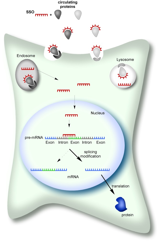 Figure 3.