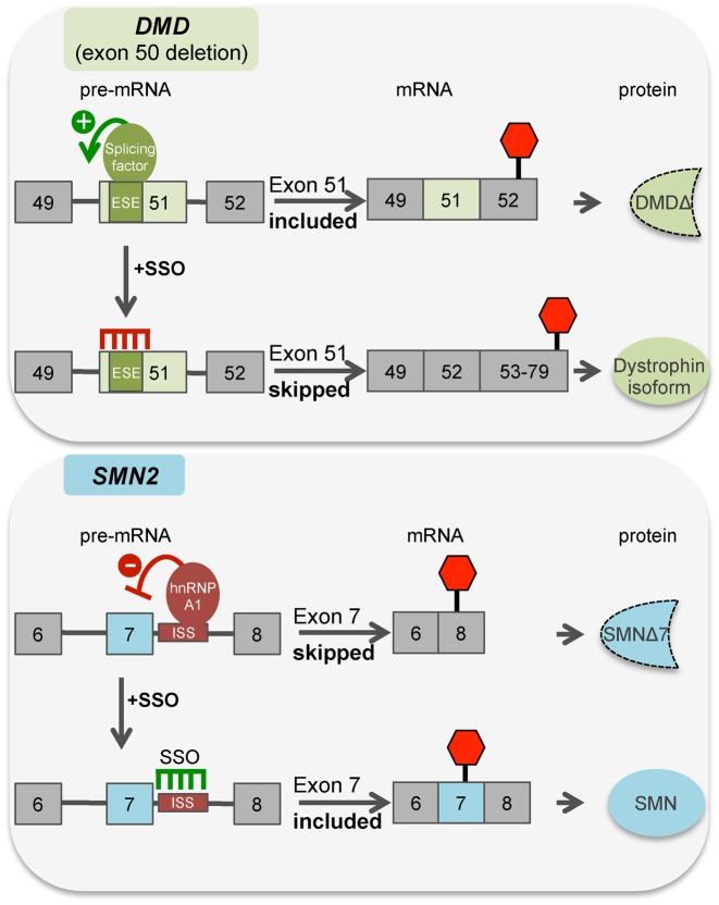 Figure 4.