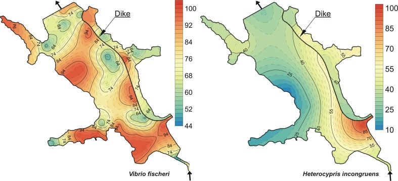 Fig. 4