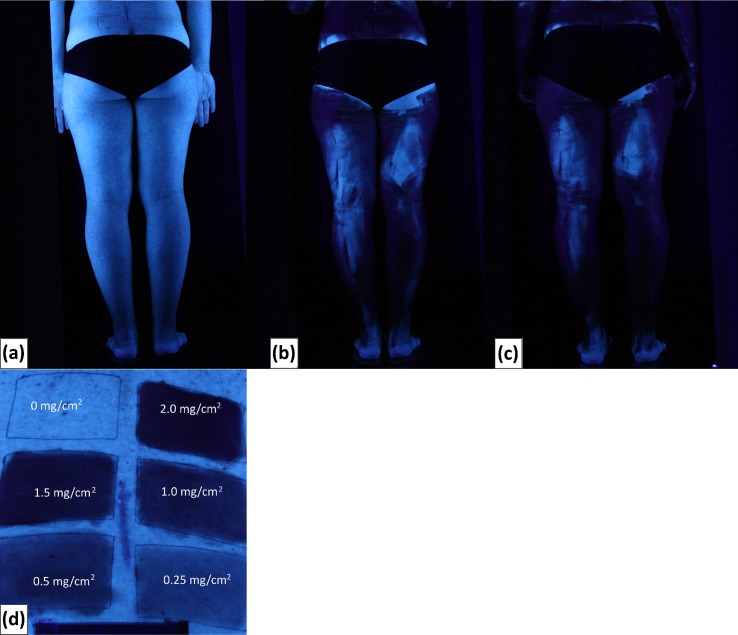 Fig 3