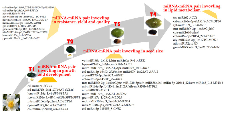 Figure 14