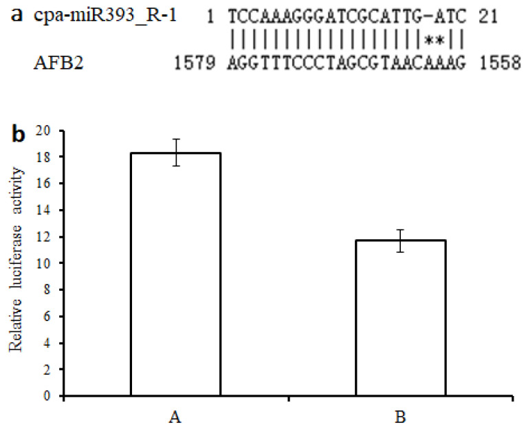 Figure 13