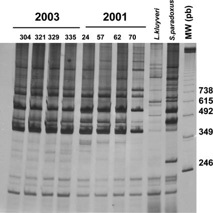 FIG. 6.