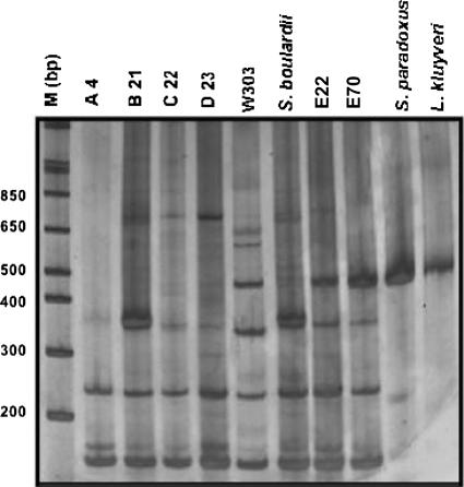 FIG. 5.