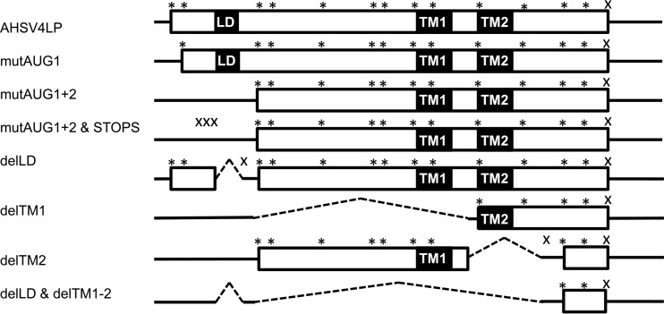 FIG 2