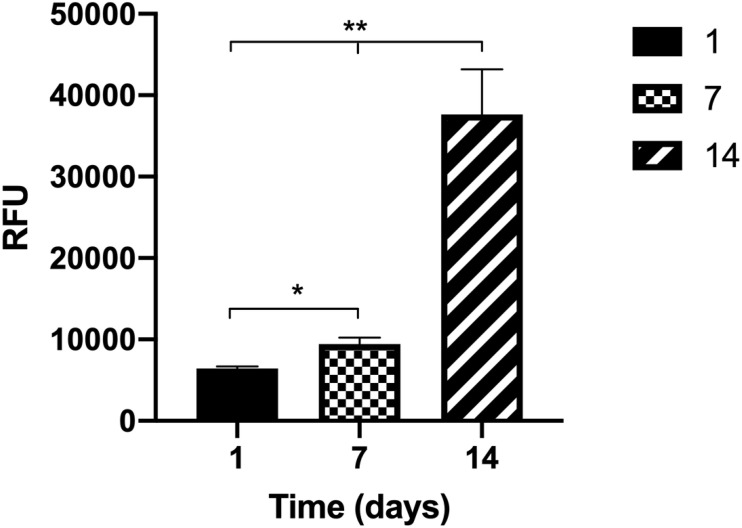 FIGURE 3