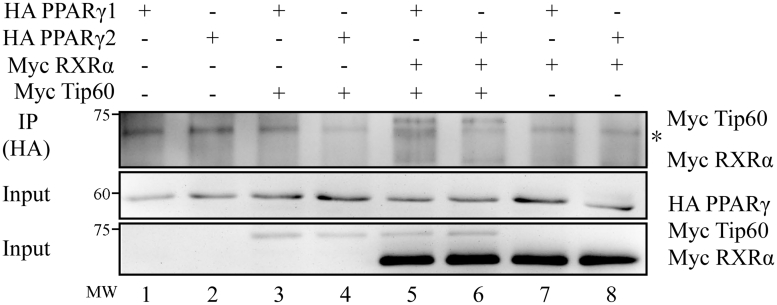 Figure 5