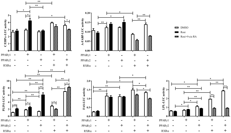 Figure 6