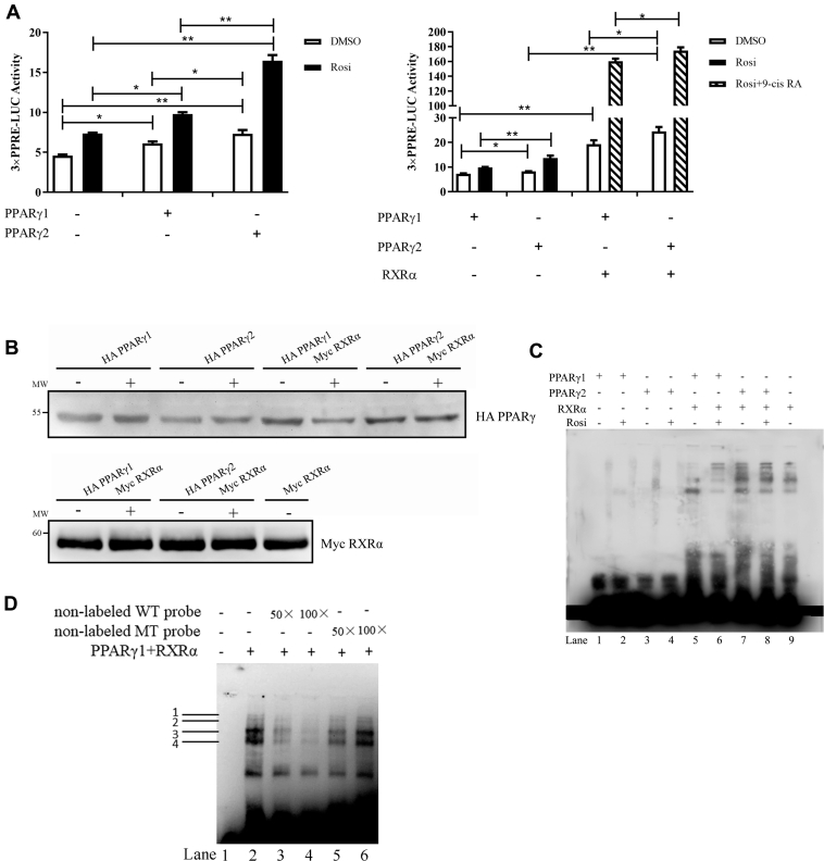 Figure 4