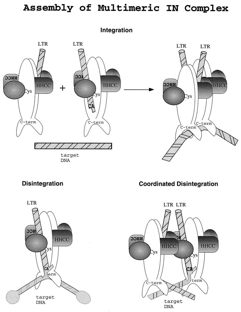 FIG. 6