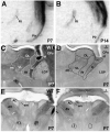 Fig. 11