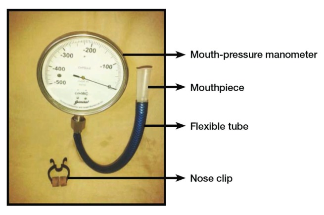 Figure 1)