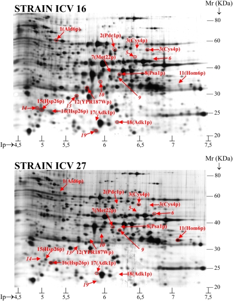 FIG. 4.