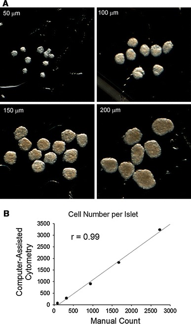 Fig. 3