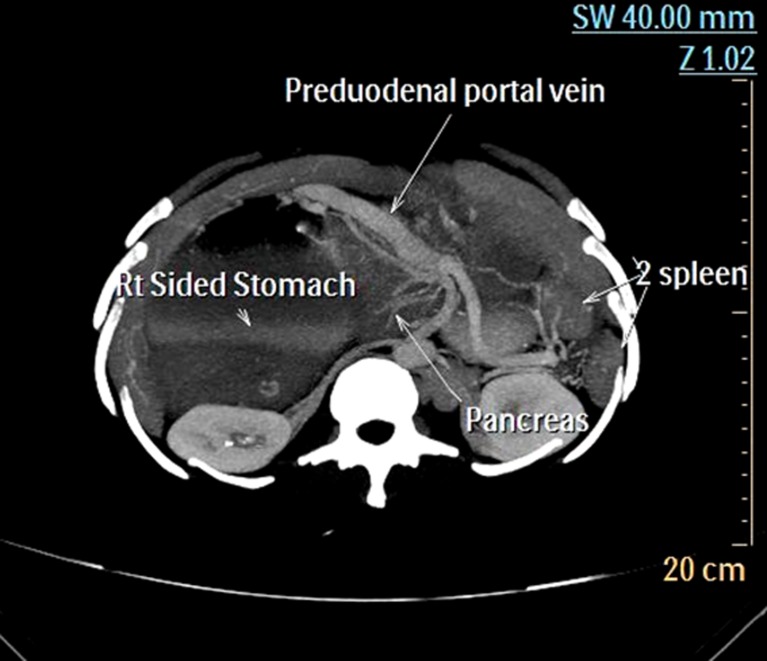 Fig. 5