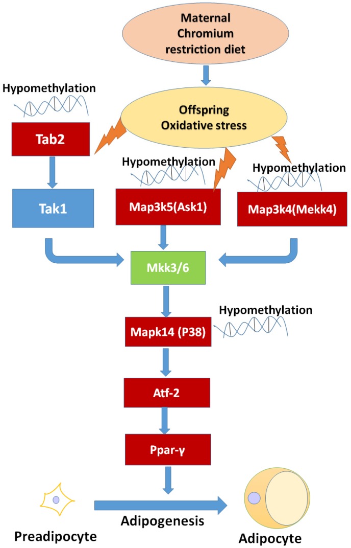 Figure 7