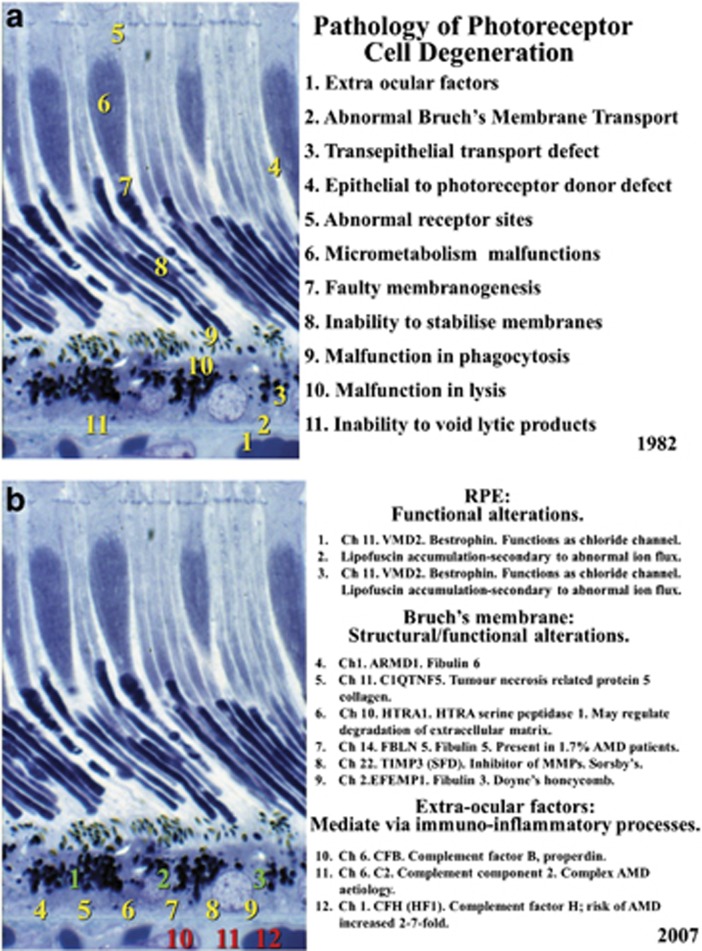 Figure 12