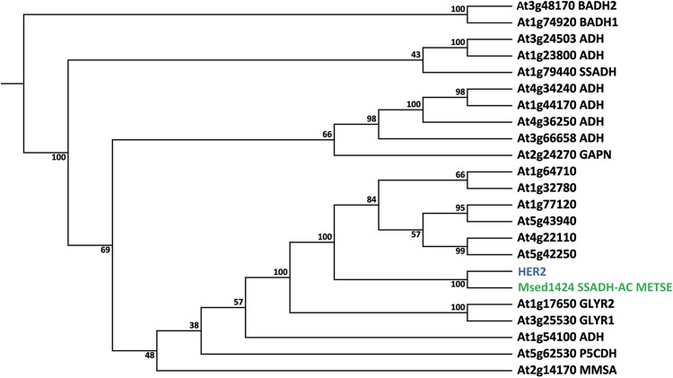 Fig. 5