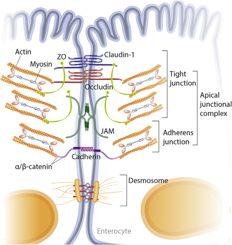 Fig. 3.