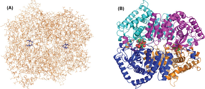 Figure 10