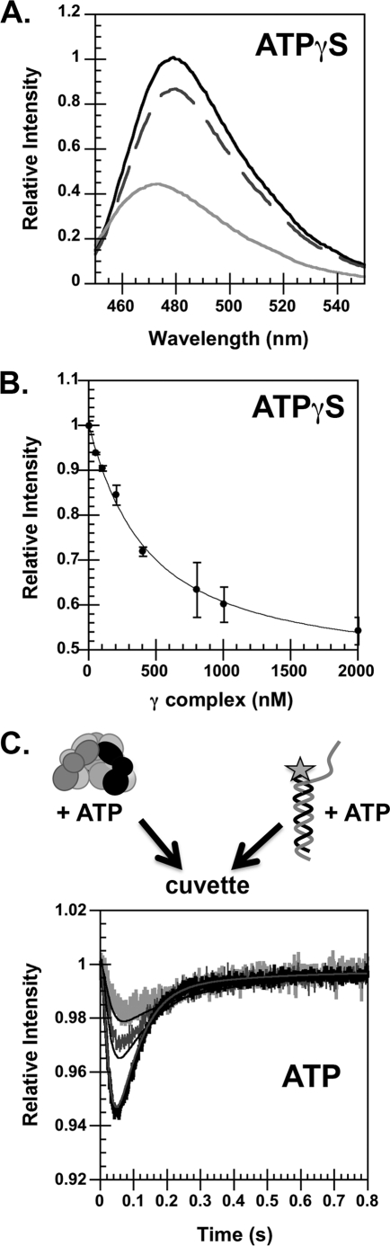 FIGURE 4.