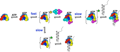 FIGURE 9.