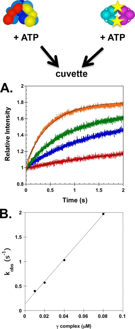 FIGURE 3.