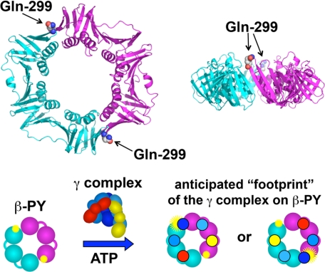 FIGURE 1.