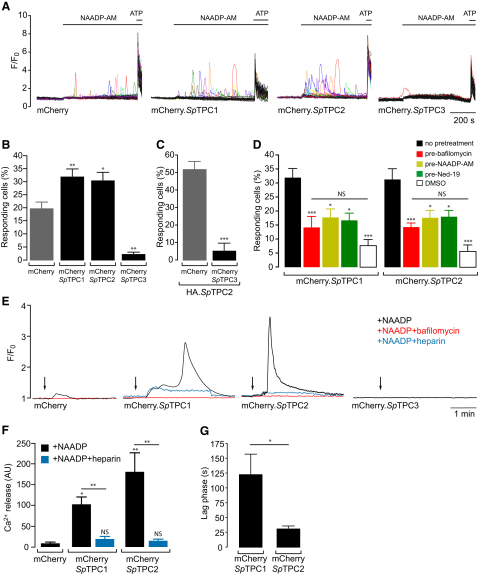 Figure 2